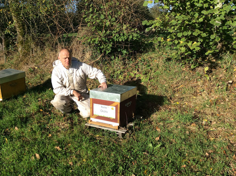 La ruche Orchis