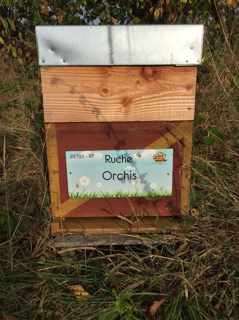 La ruche Orchis