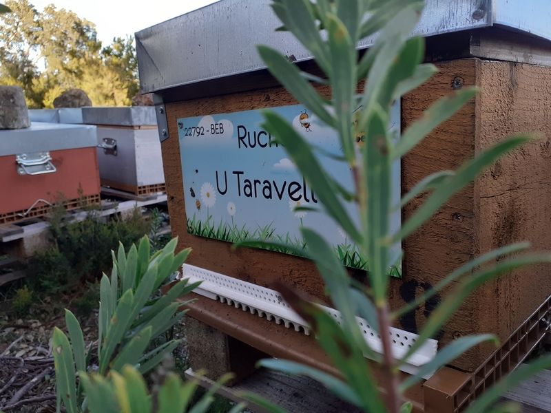 La ruche U Taravellu