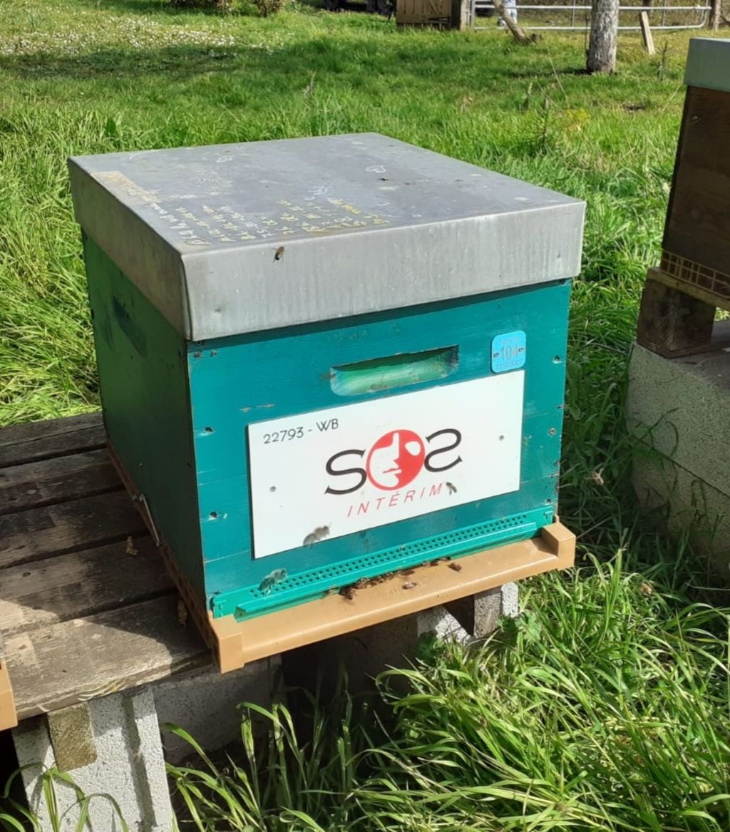 La ruche SOS Intérim