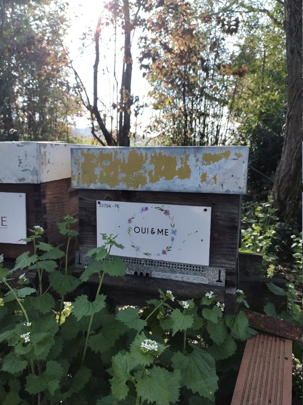 La ruche OUI & ME