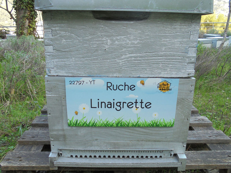 La ruche