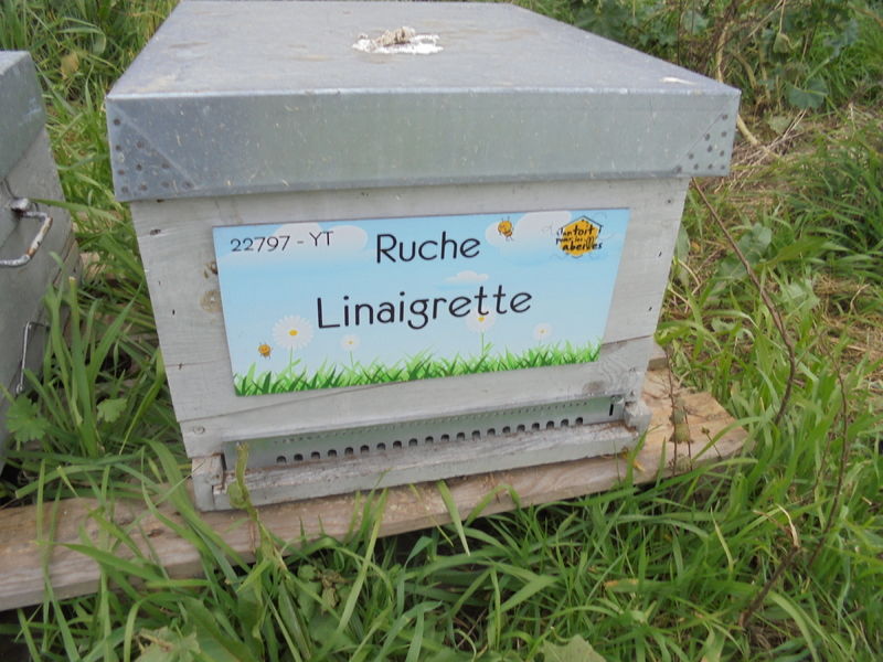 La ruche Linaigrette