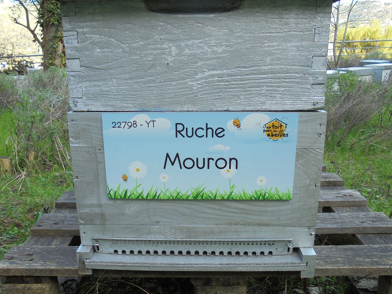 La ruche Mouron