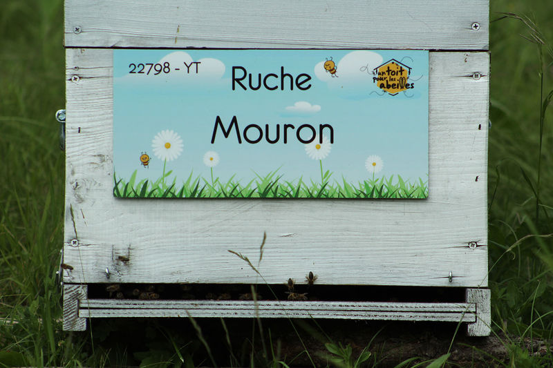 La ruche Mouron