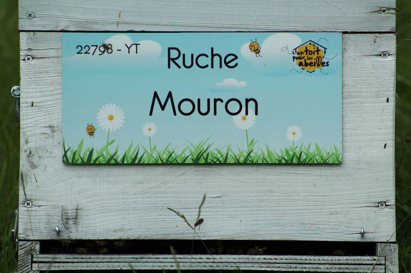 La ruche Mouron