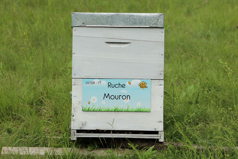 La ruche Mouron