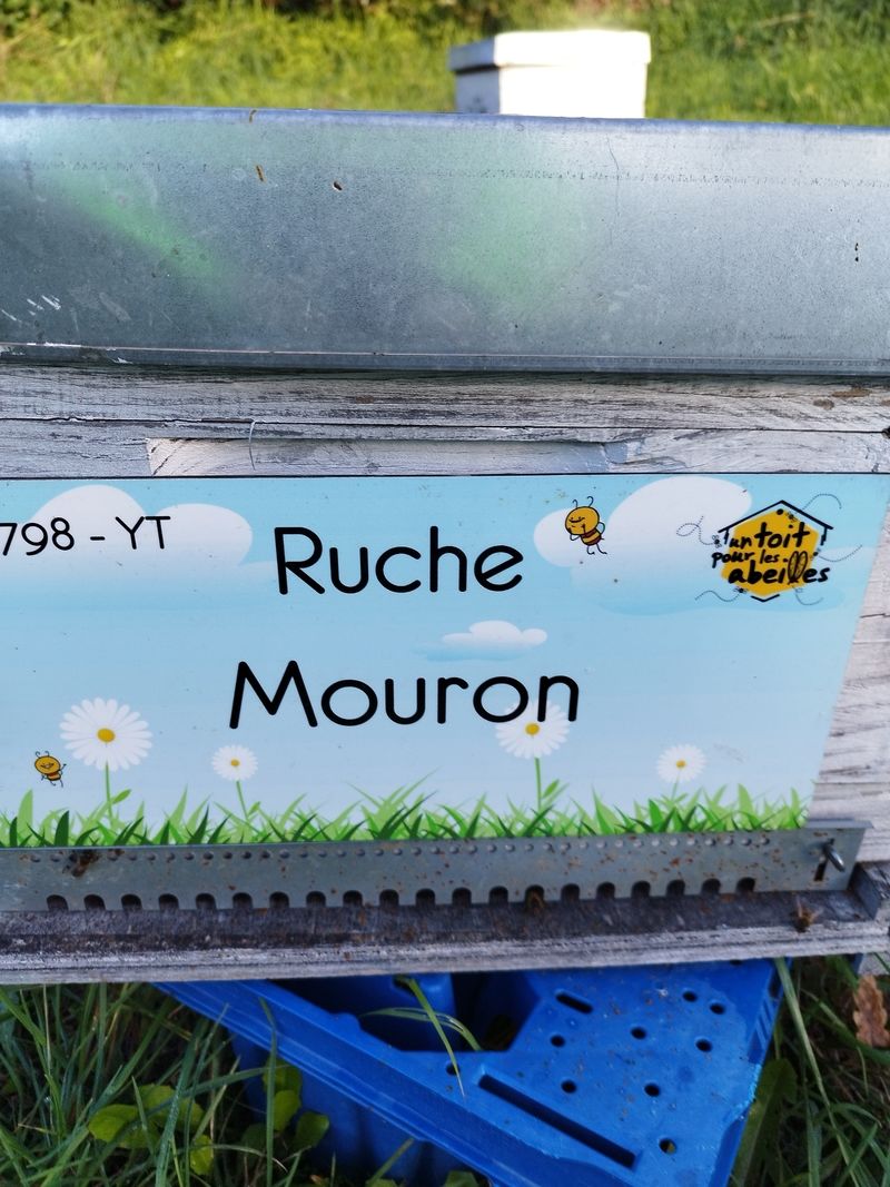 La ruche Mouron