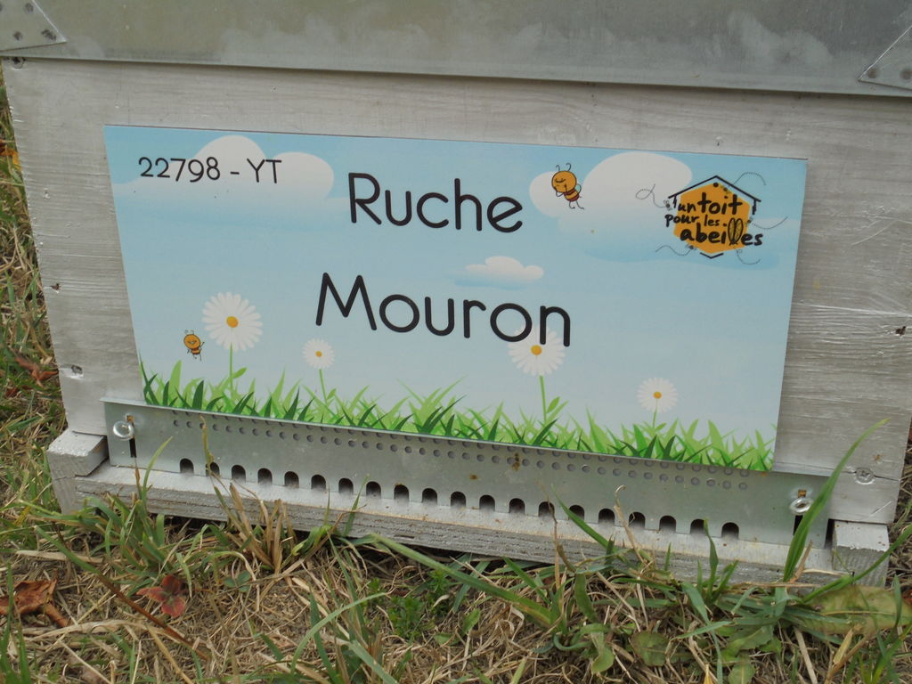 La ruche Mouron