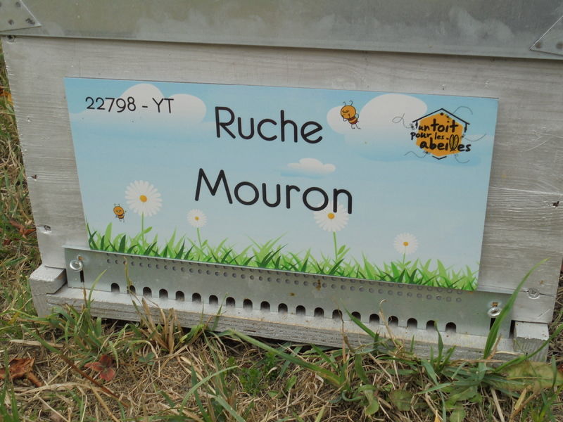 La ruche Mouron