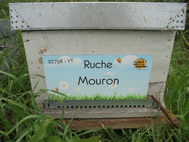 La ruche Mouron