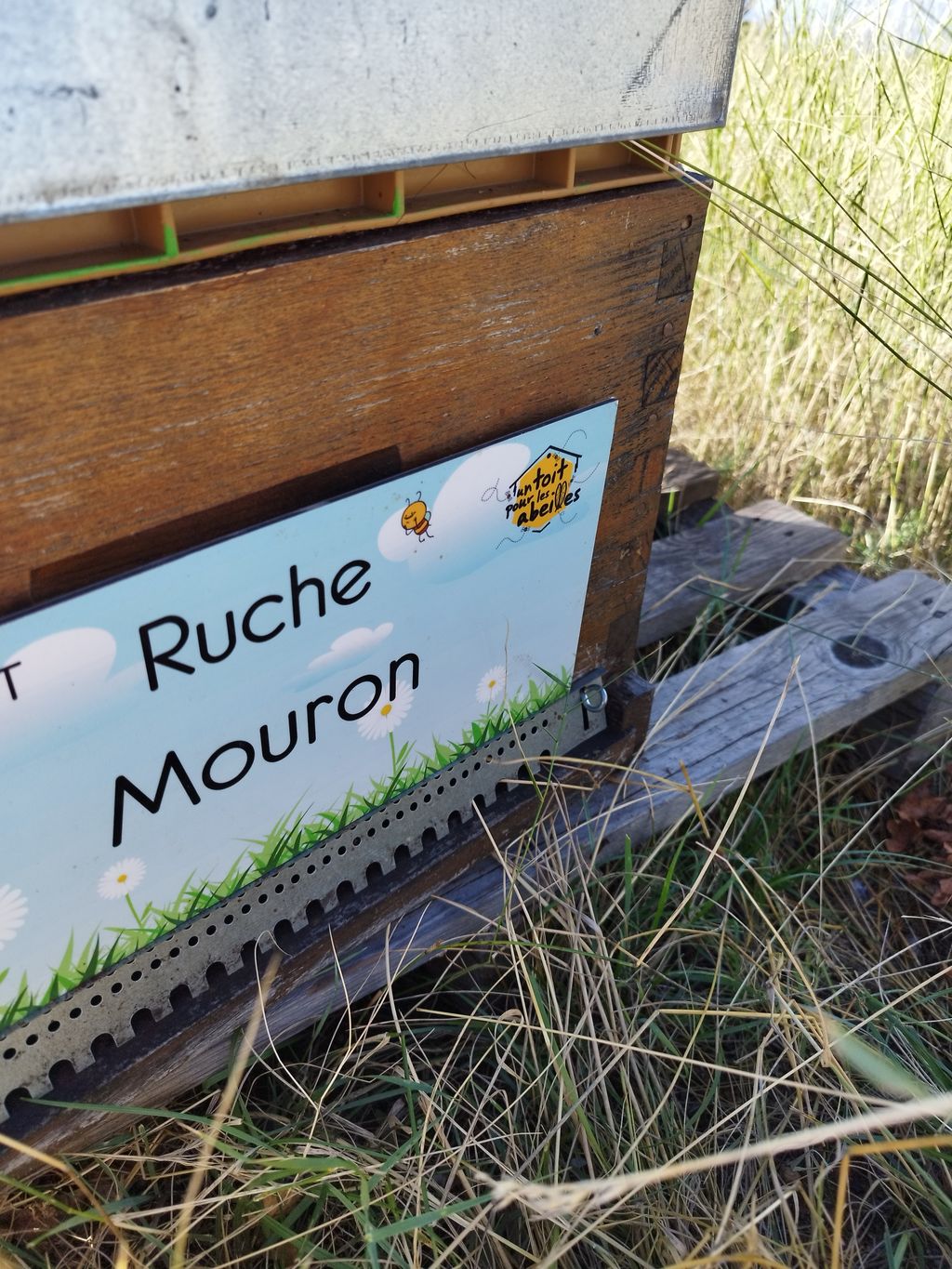 La ruche Mouron