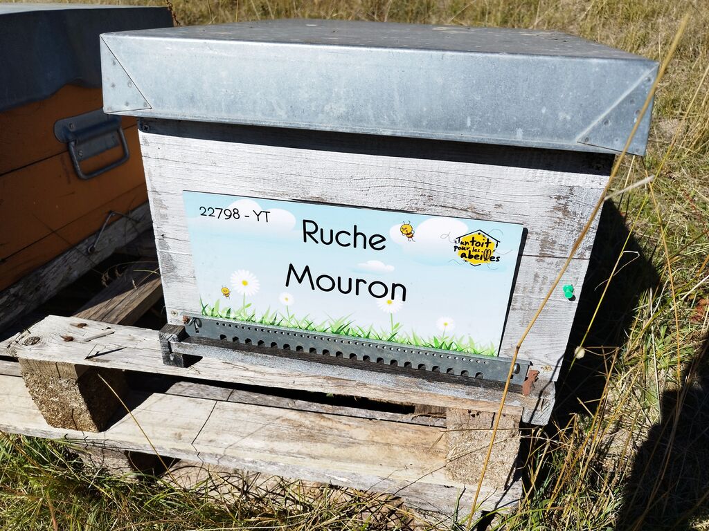 La ruche Mouron