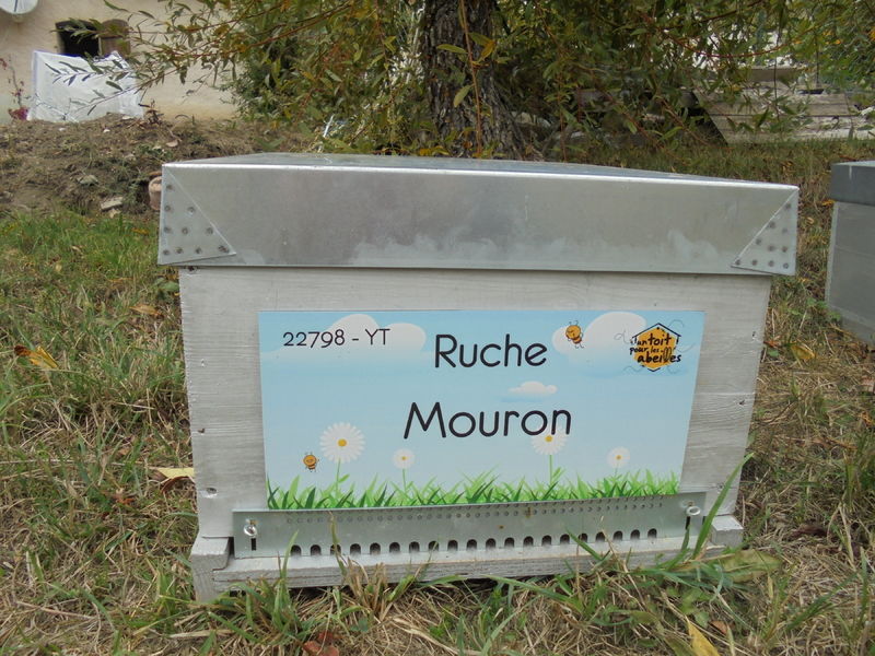 La ruche Mouron
