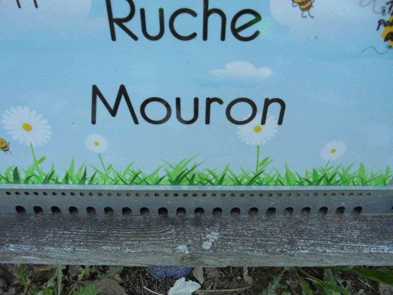 La ruche Mouron