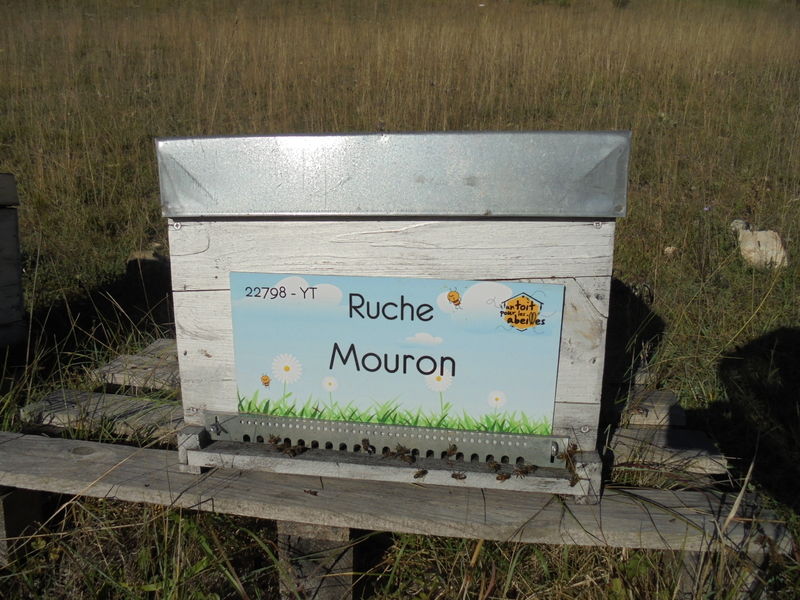La ruche Mouron