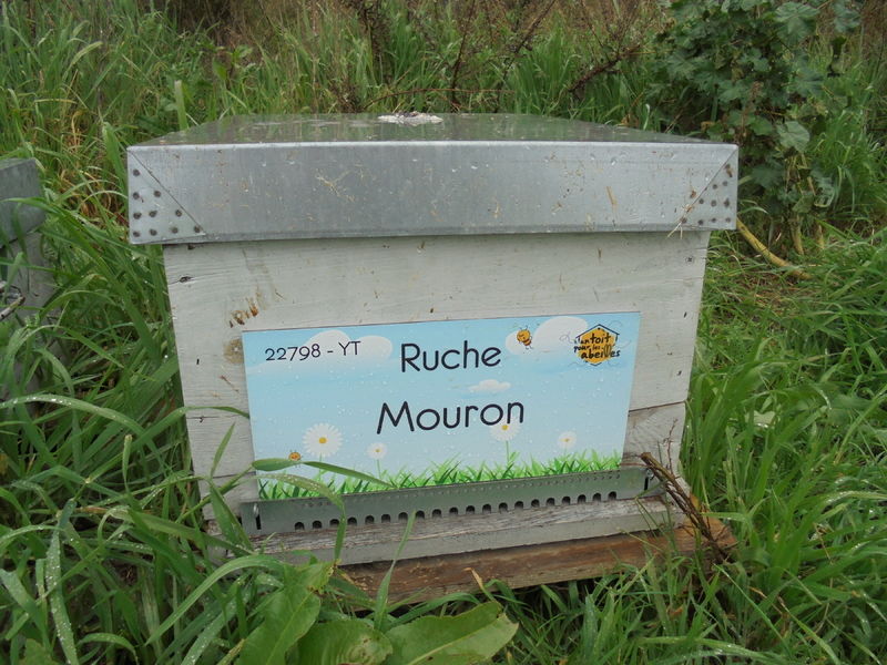 La ruche Mouron