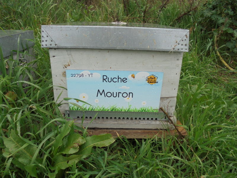 La ruche Mouron