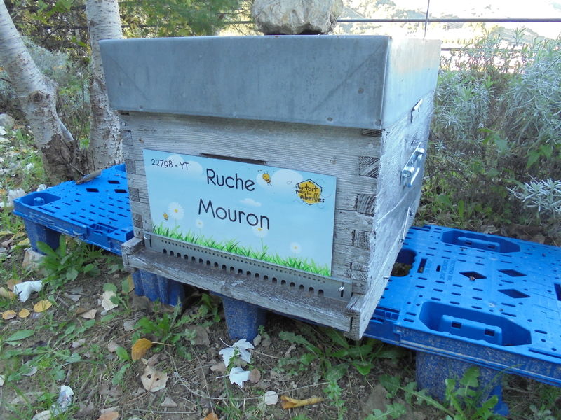 La ruche Mouron