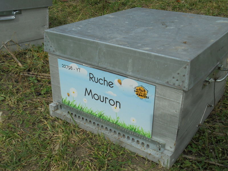 La ruche Mouron