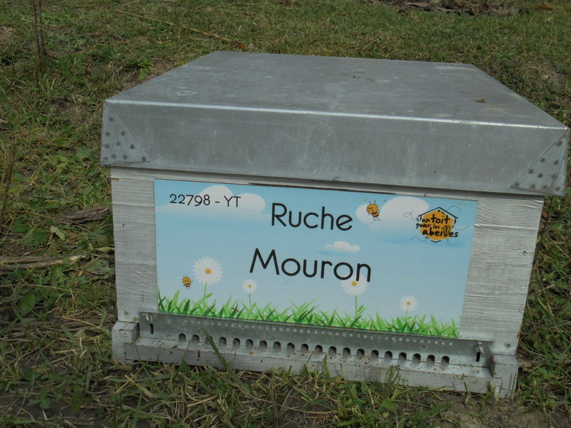 La ruche Mouron