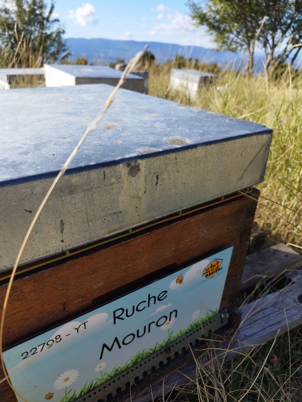 La ruche Mouron