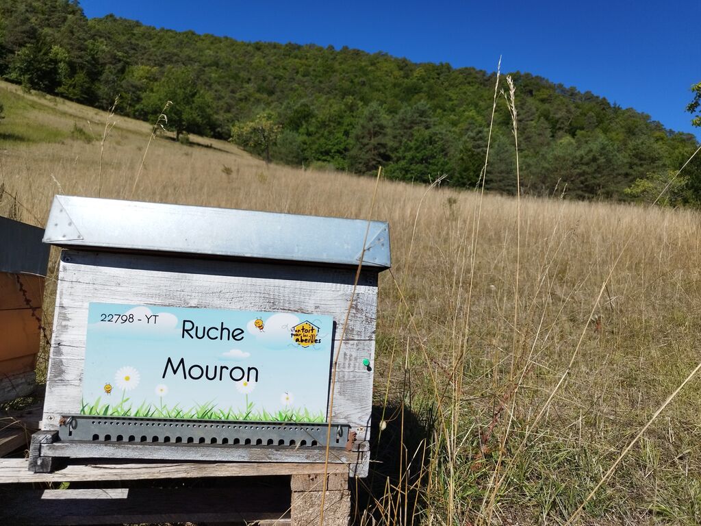 La ruche Mouron