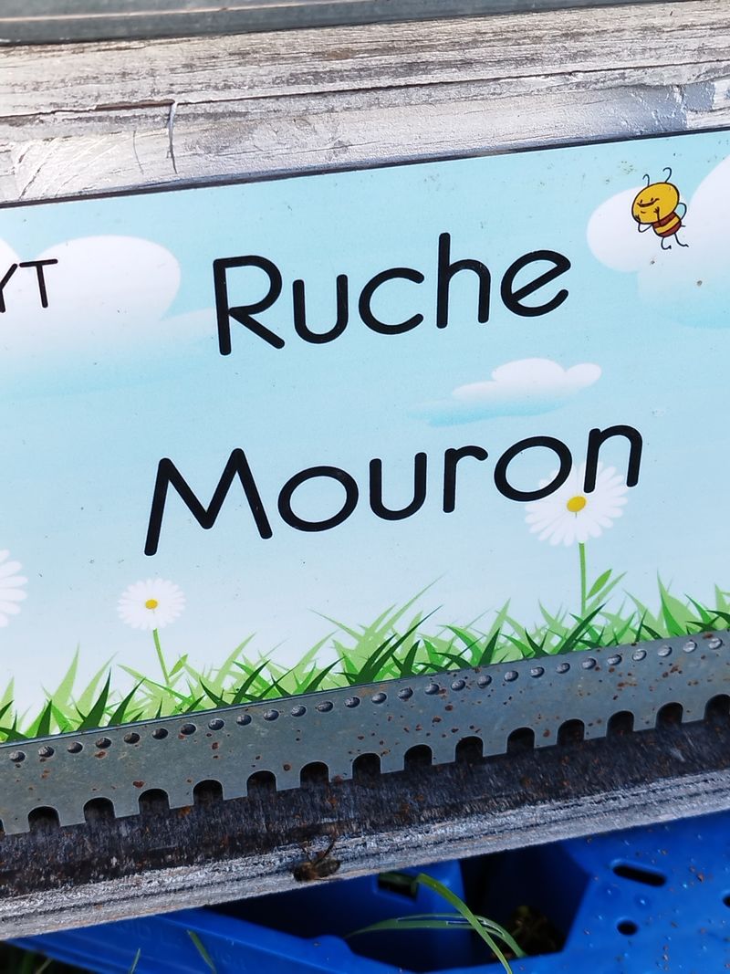 La ruche Mouron