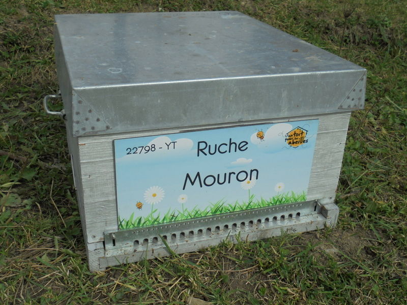 La ruche Mouron