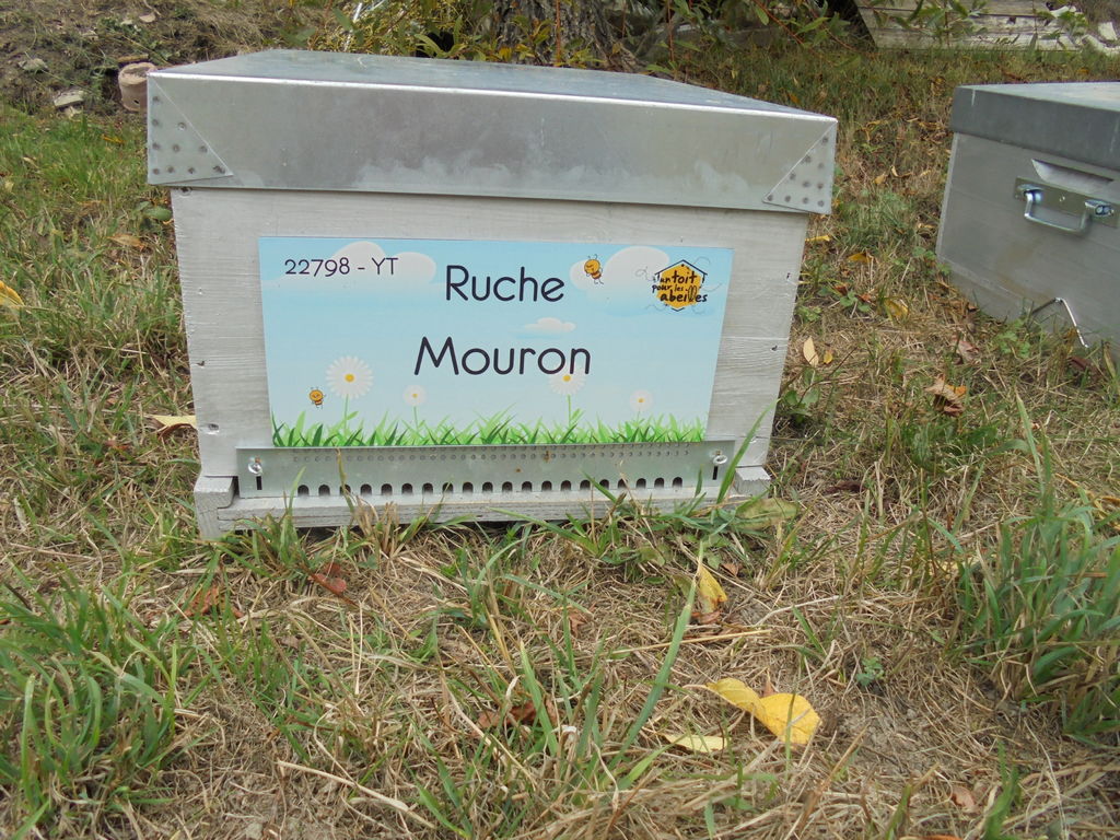 La ruche Mouron