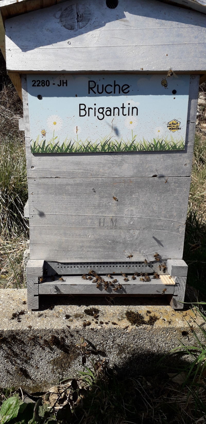 La ruche Brigantin
