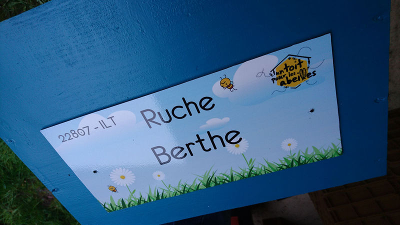 La ruche Berthe