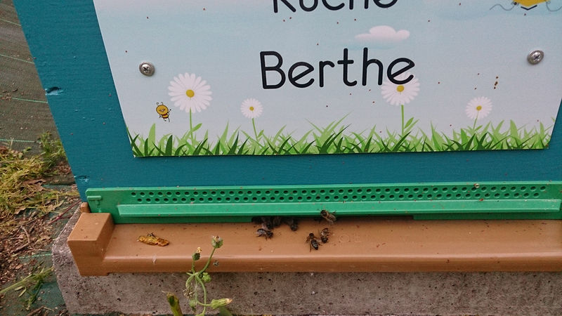 La ruche Berthe