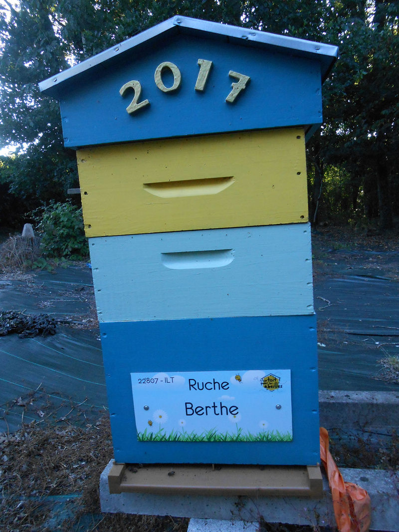 La ruche Berthe