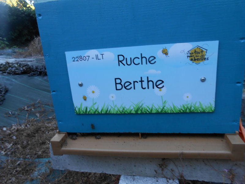 La ruche Berthe