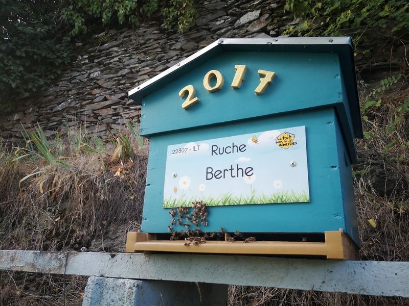 La ruche Berthe