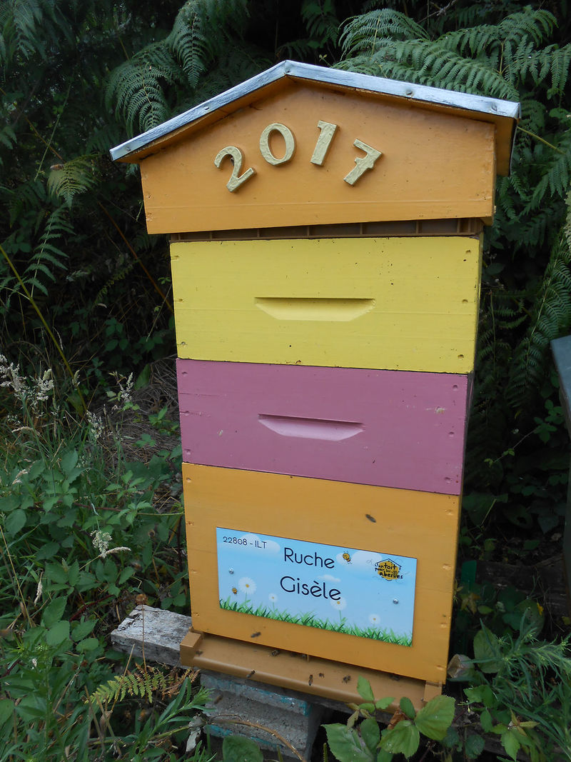 La ruche Gisèle