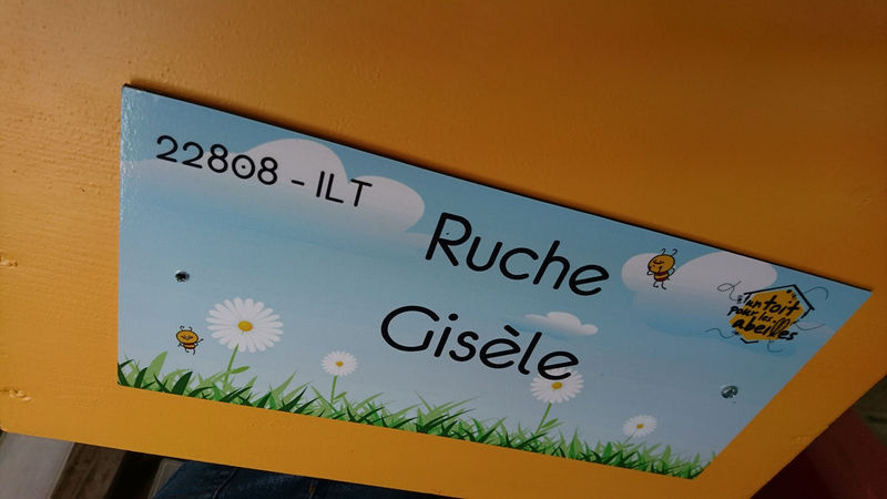 La ruche Gisèle