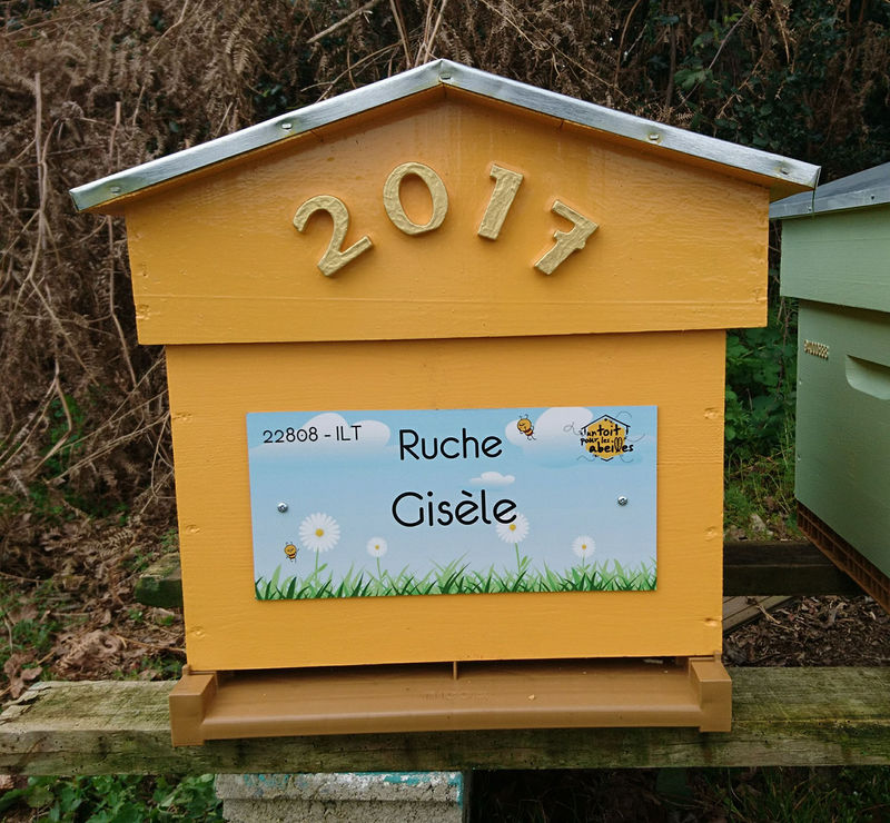 La ruche Gisèle
