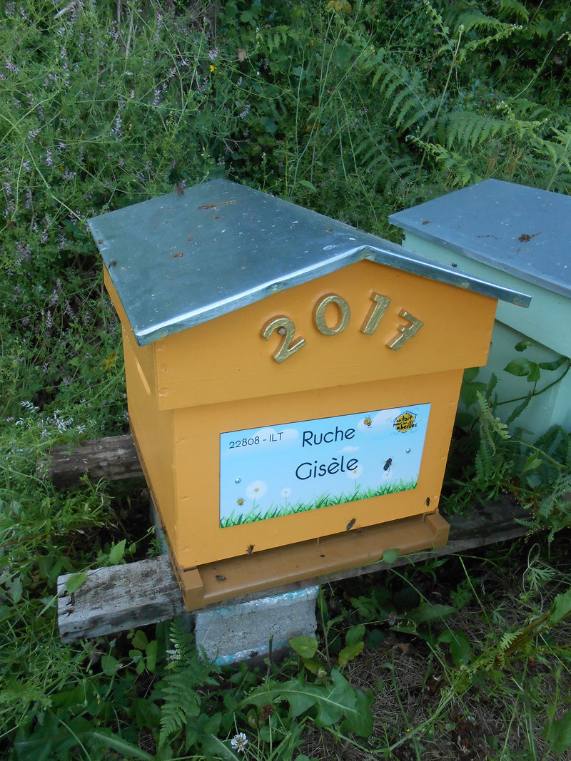 La ruche Gisèle