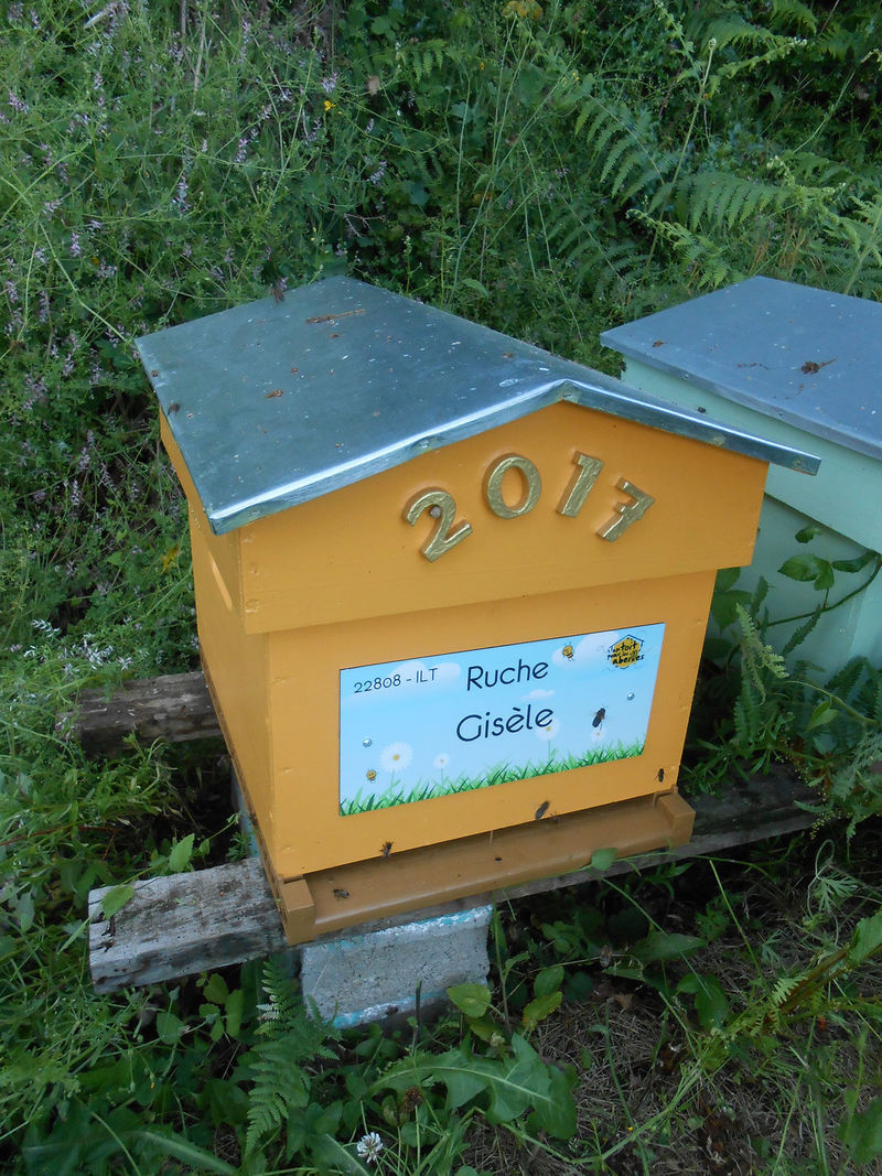 La ruche Gisèle
