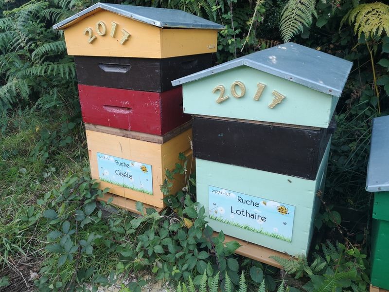 La ruche Gisèle