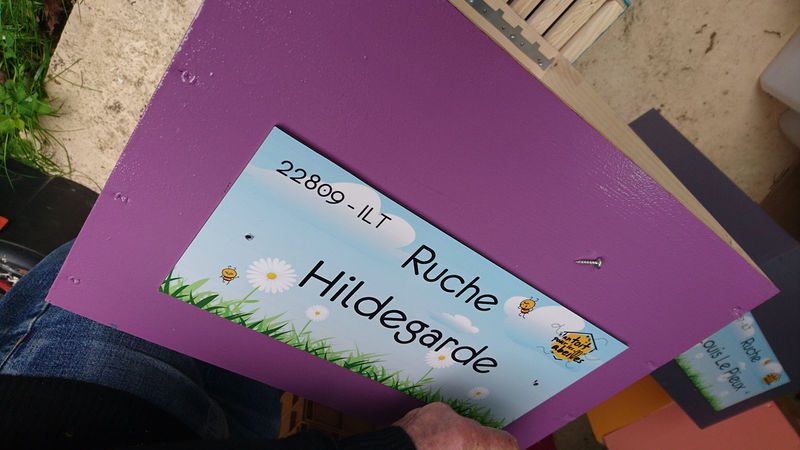 La ruche Hildegarde
