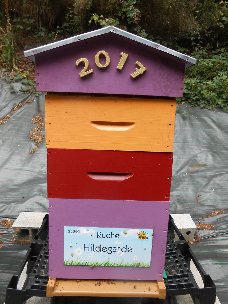 La ruche Hildegarde