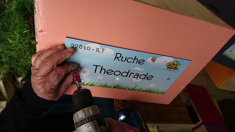 La ruche Theodrade
