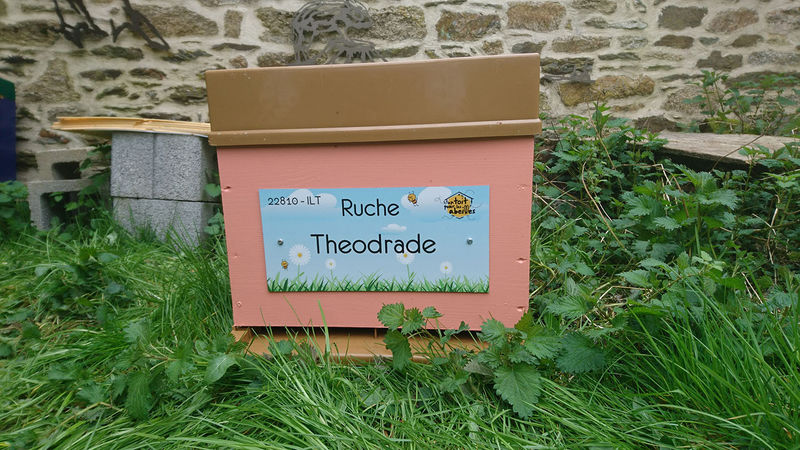 La ruche Theodrade
