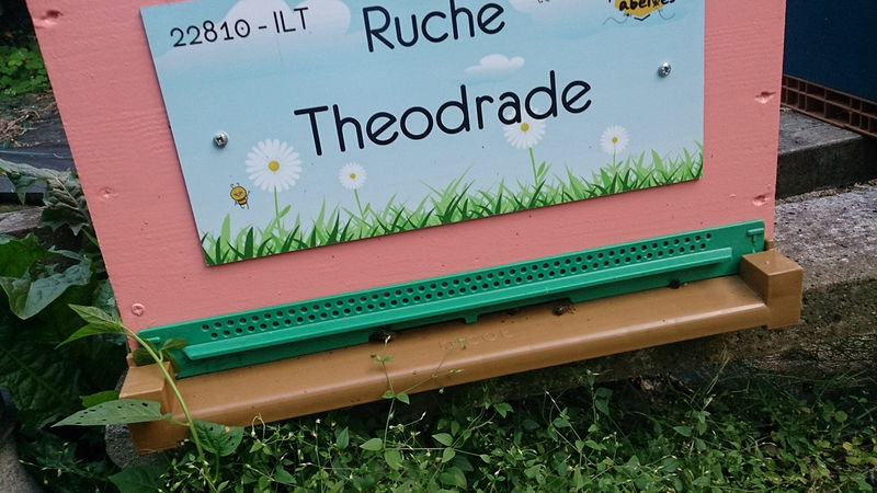 La ruche Theodrade