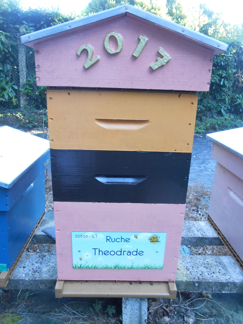 La ruche Theodrade