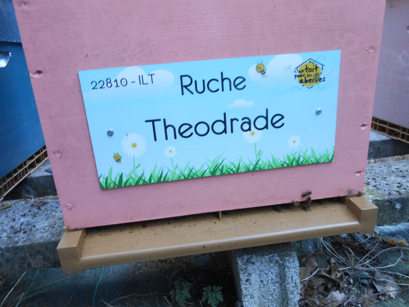 La ruche Theodrade