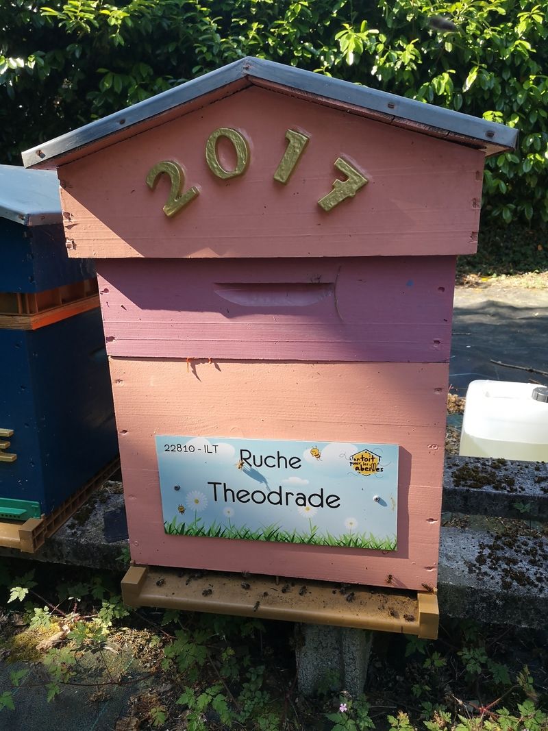 La ruche Theodrade